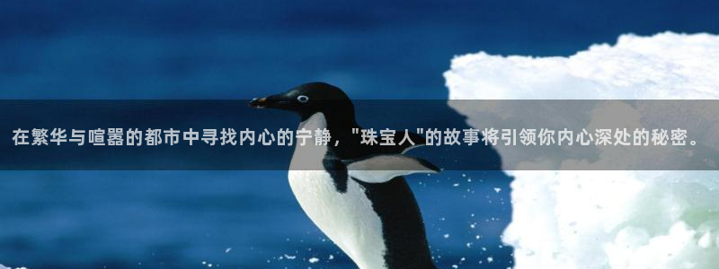 新航海娱乐会所怎么样：在繁华与喧嚣的都市中寻找内心的宁静，\