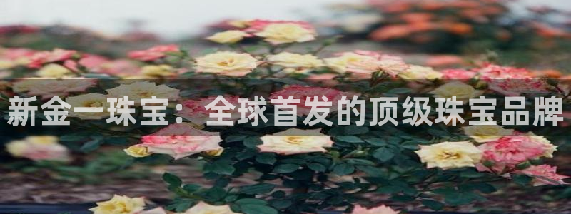 邯大新航娱乐