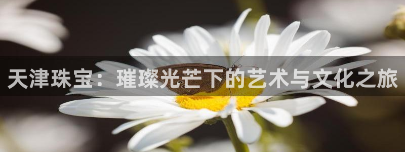 新航娱乐最新产品发布
