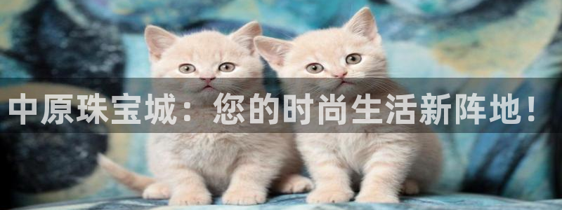 新航娱乐怎么样