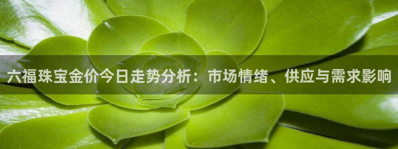 新航娱乐网址