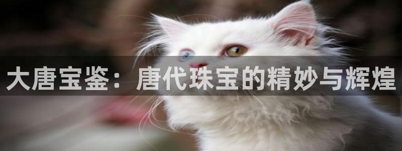 新航娱乐旗下平台有哪些