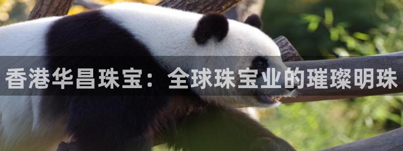 南京新航娱乐