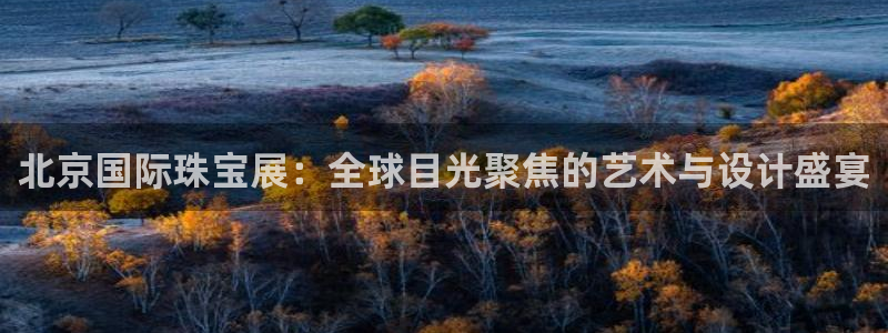 新航机上娱乐