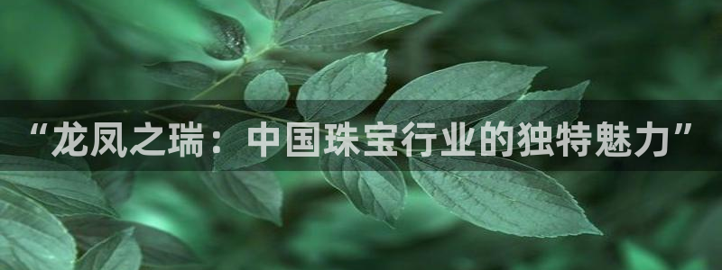 金城娱乐新航母