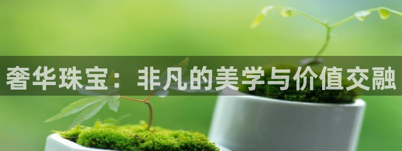 新航娱乐的最新动态报道