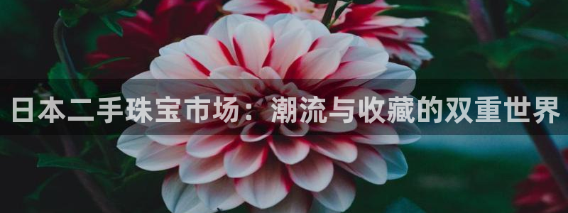 新航娱乐登陆
