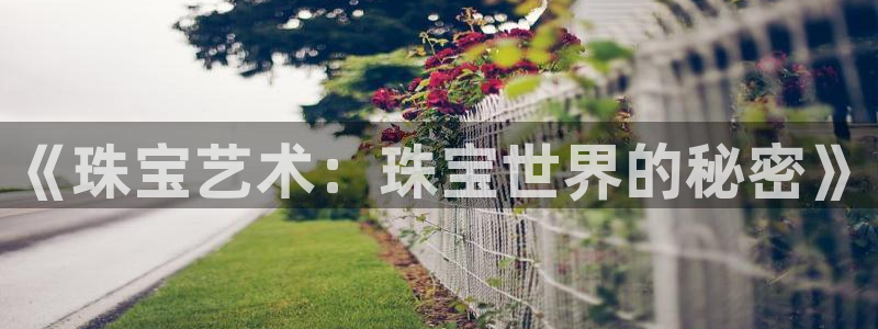 新航娱乐传媒招聘信息网
