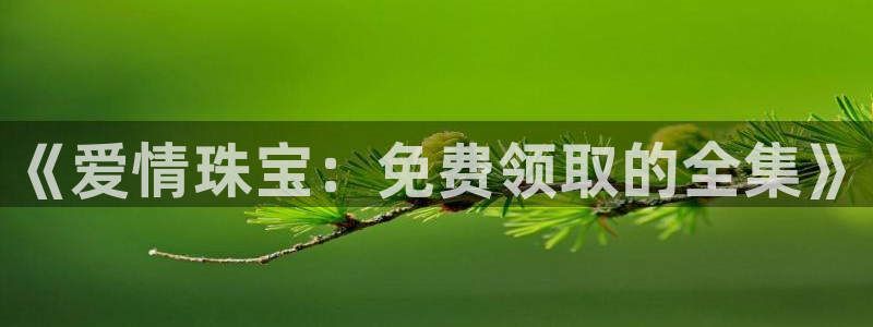 新航娱乐传媒招聘信息