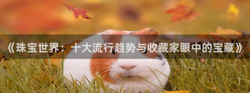 新航海娱乐会所