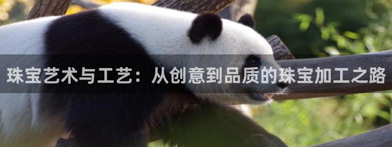 新航娱乐平台官网