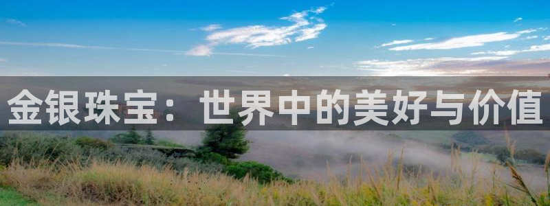 金城娱乐新航母