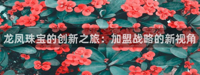 新航面试娱乐
