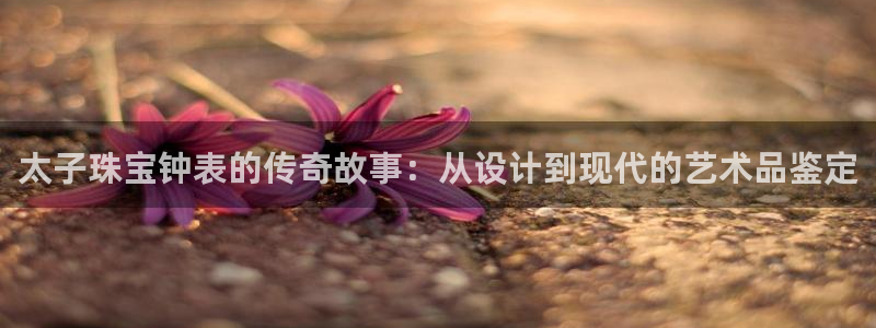 娱乐新航线