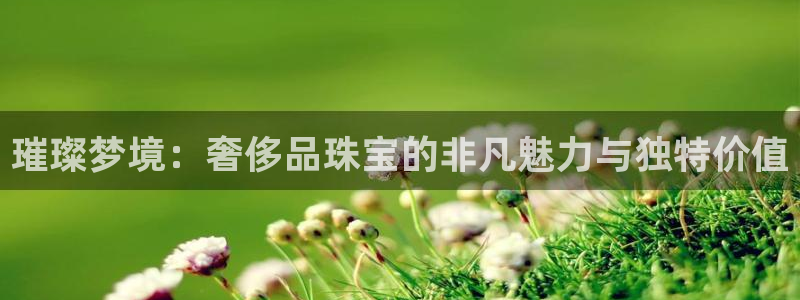 新航海娱乐会所