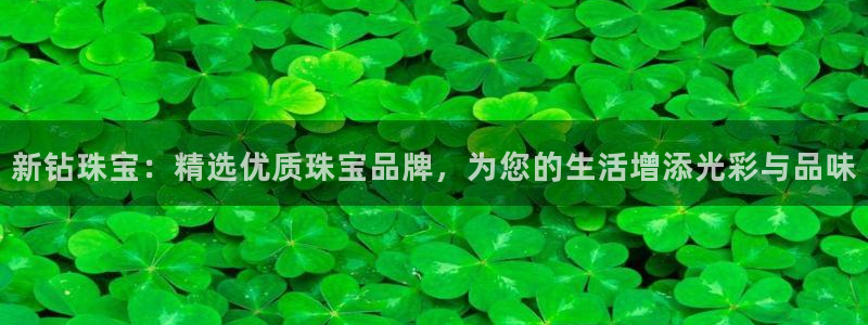 新航娱乐公司艺人招聘