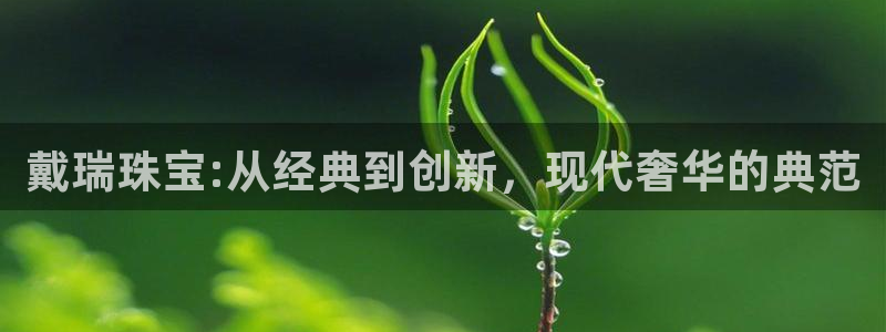 新航娱乐有限公司招聘