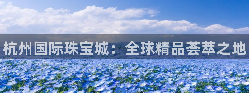 新航国际娱乐