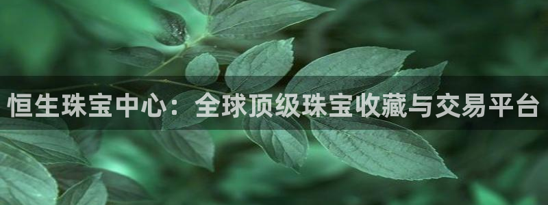 新航娱乐观