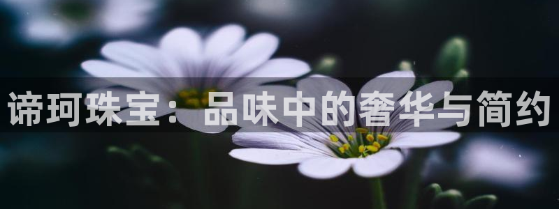 新航娱乐传媒怎么样知乎