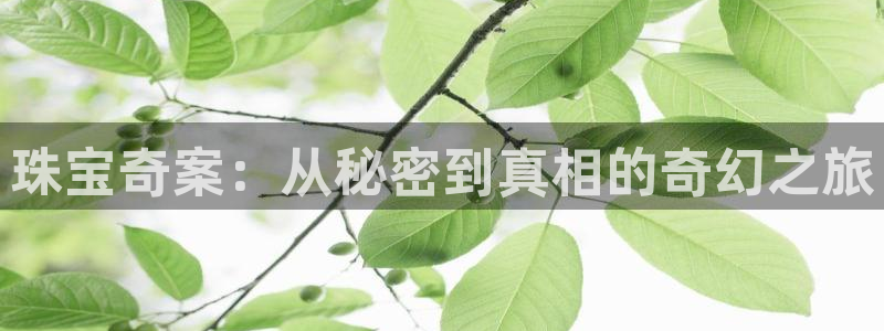 新航娱乐有限公司怎么样