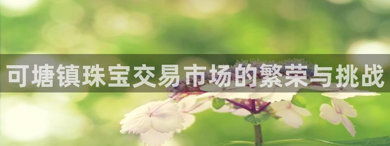 新航娱乐是干嘛的