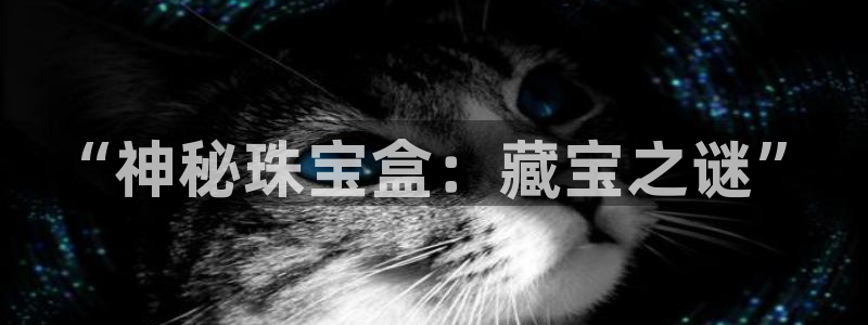 新航娱乐的最新动态报道