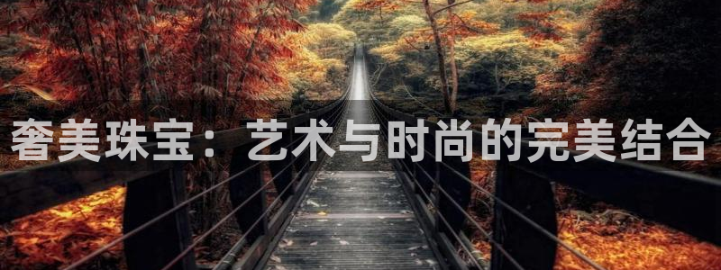 新航娱乐公司地址查询