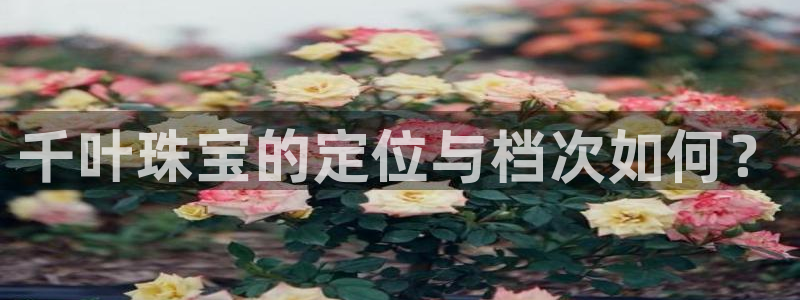 新航娱乐公司怎么样