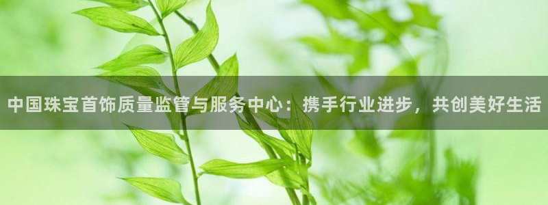 南京新航娱乐