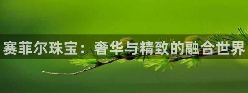 中国新航娱乐在哪个平台