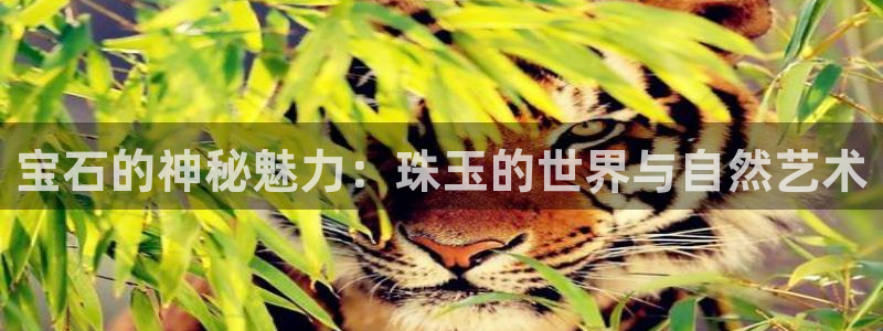 新航线娱乐会所