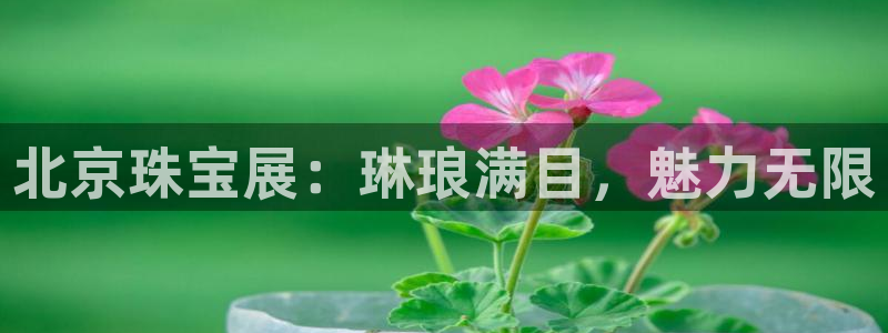 新航娱乐公司简介图片