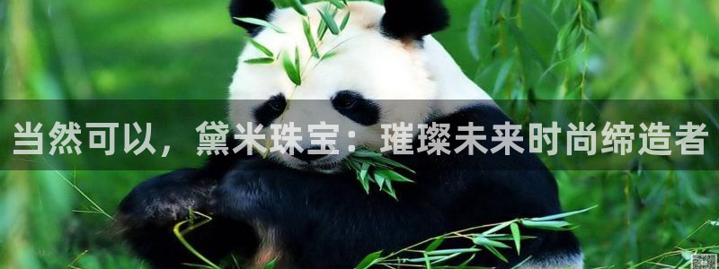 新航娱乐公司地址电话