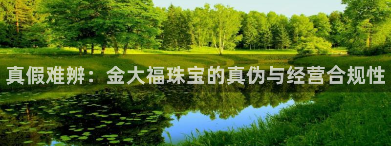 新航城娱乐传媒有限公司