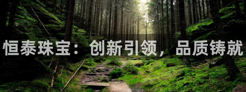 娱乐新航标