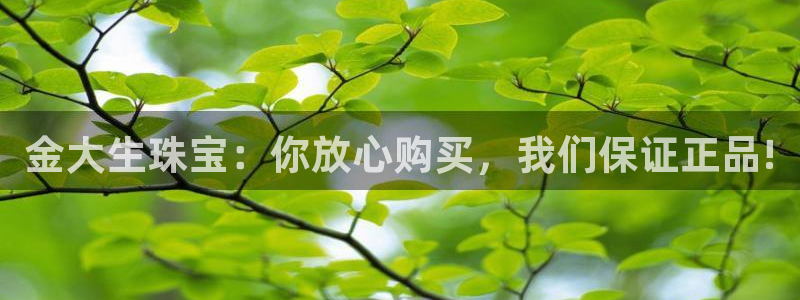 新航娱乐直开怎么下载