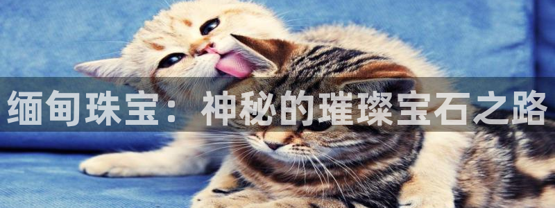 新航海大酒店娱乐城