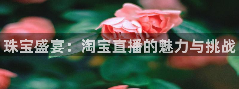 新航娱乐公司招聘