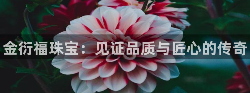 新航娱乐怎么样