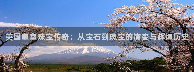 新航娱乐登陆