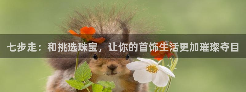 打造娱乐新航母