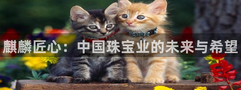 新航路开辟中的娱乐