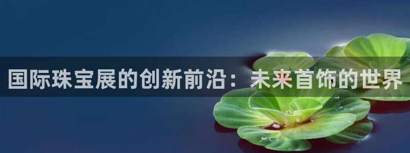 新航娱乐公司问题