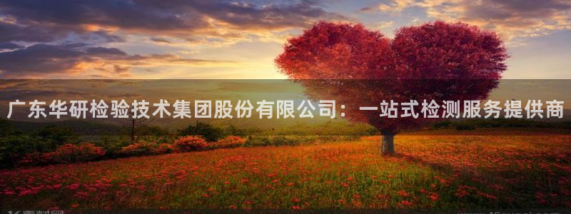 新航线娱乐