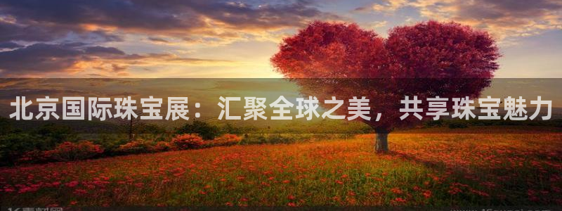 新航娱乐有限公司招聘