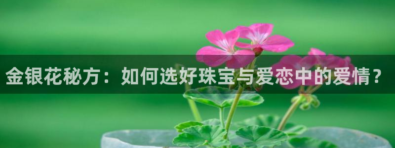 新航娱乐公司地址电话：金银花秘方：如何选好珠宝与爱恋中的爱情