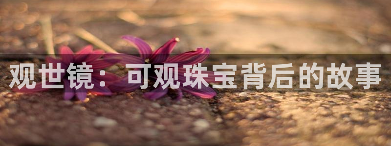 新航娱乐主管