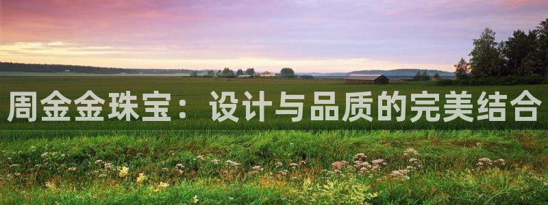 新航娱乐主管
