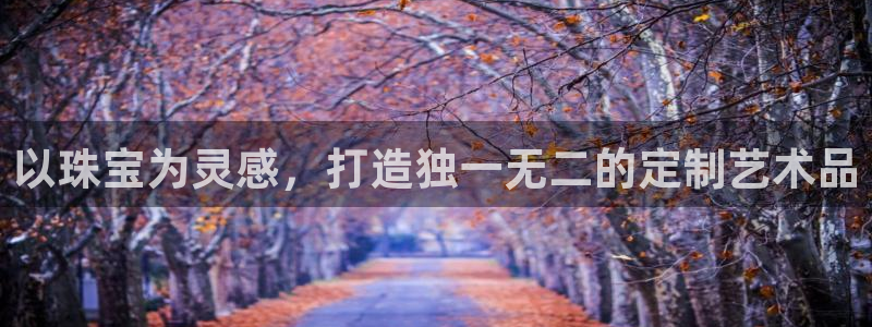 新航娱乐公司问题分析